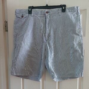 Nautica Men's Blue Striped Flat Front Shorts